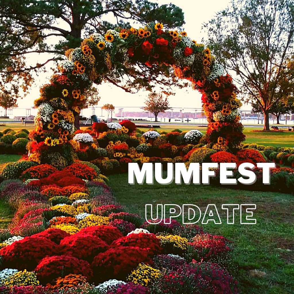 MatthewHerchik's tweet photo. New Bern’s annual “MumFest” isn’t happening like it normally does— instead this year downtown will celebrate #MumFeast!

I’ll have more on this tonight, but what do you think? Will you still attend despite the pandemic? #MumFest https://t.co/XMlOAOaSdz https://t.co/2hCoZozLn1