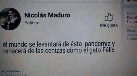 DRA. MERCEDES PAVON #LaR "SUPERMUELITA FIFÍ" on Twitter: "😂😂🤣🤣🤣🤣🤣 "Gato  Félix" 🤣🤣🤣🤣🤦‍♀️Si ´pá burro no se nace, se hace. 😂😂😂🤦‍♀️… "