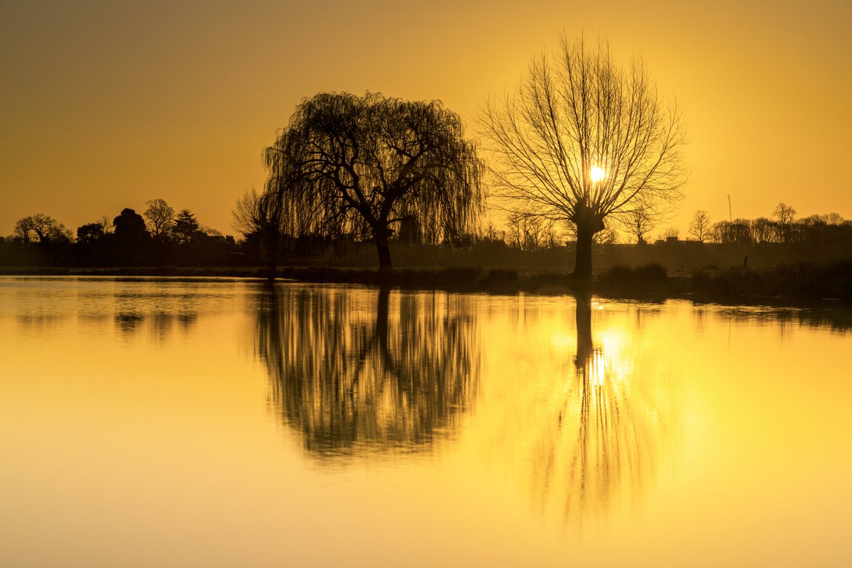 TreesforCities's tweet photo. It's #WorldPhotographyDay! Here are some of our favourite entries in our #TFCsnaps photo challenge - which one's your favourite? https://t.co/Po8wgTeYW6