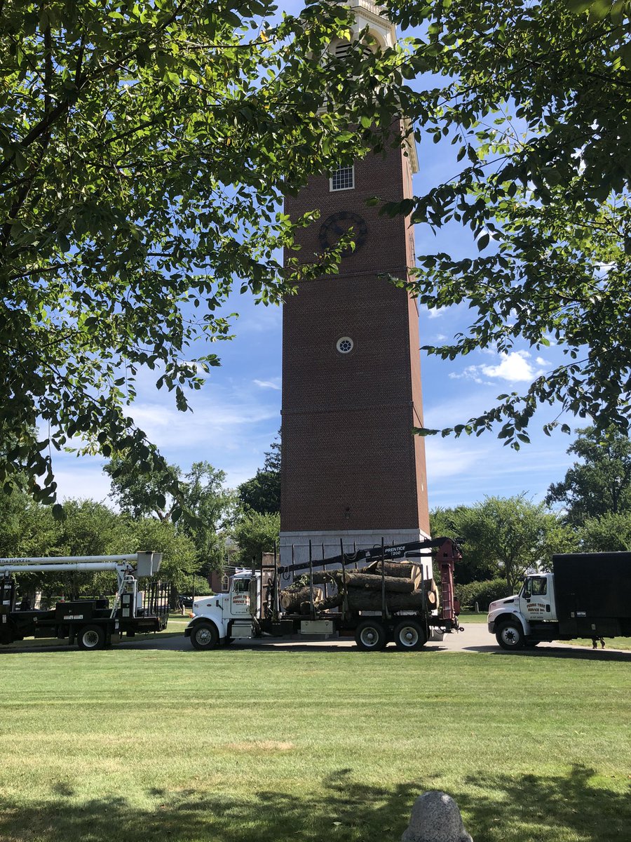 FerrisTreeSvc's tweet image. Large Ash Tree removal today in Andover.