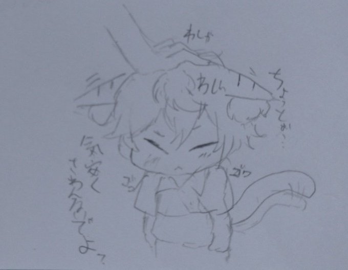 言動と行動が一致しないせなにゃん 