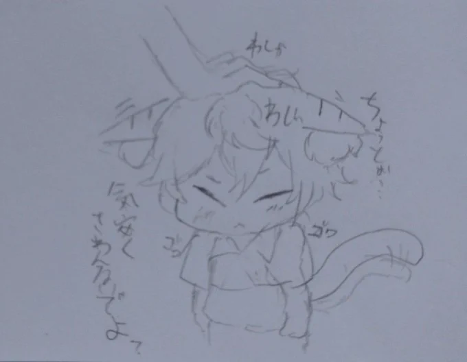 言動と行動が一致しないせなにゃん 