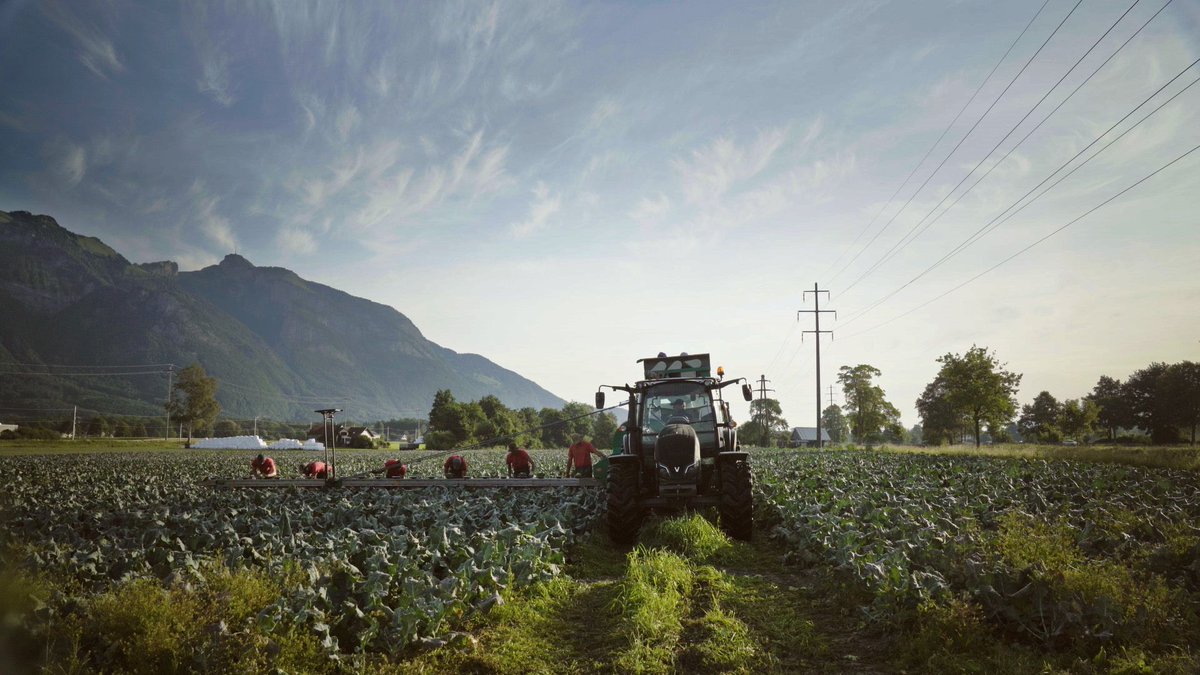 Wie kann sich die Landwirtschaft in der Bodenseeregion einen Wettbewerbsvorsprung verschaffen? In einem gemeinsamen Forschungsprojekt der NTB und der <a href="/fhsstgallen/">FHS St.Gallen</a> wurden digitale Technologien entwickelt 👉 youtube.com/watch?v=YirY_z…

🔜 ab dem 1. September twittern wir als  <a href="/ost_fh/">OST – Ostschweizer Fachhochschule</a>