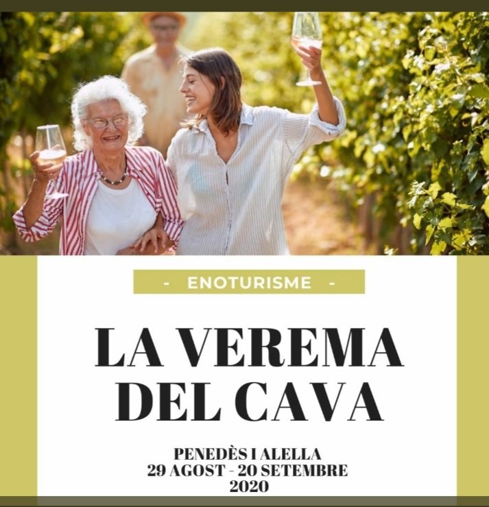 somnidevins's tweet image. Torna #LaVeremaDelCava 
 activitats enoturístiques
@ALTAALELLA @codorniu @juveycamps @ATM_Cava
@girodelgorner @BSumarroca @seguraviudasES @CAVESVILARNAU @pagesentrena Del 29 d'agost al 20 de setembre, al Penedès i a Alella
@aecava #vicatalà 
Més: laveremadelcava.com