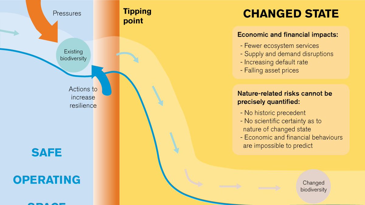 Nature loss encompasses a highly complex set of phenomena:  multiple interconnected threats  unprecedented irreversible impacts  complex system dynamics, e.g. tipping points  subject to 'radical uncertainty'  huge challenges for financial modelling