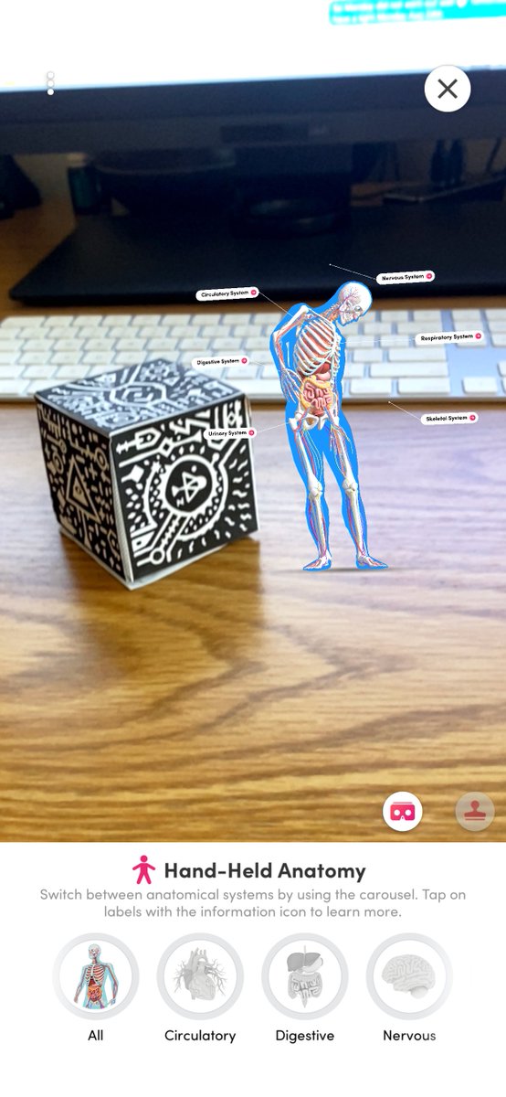 lesliefisher's tweet image. New add to @MergeVR Explorer is a Human Anatomy card which is unlocked to try free till September 15th. Hold a haptic beating heart in your hand via a Merge Cube, place a life size human anatomy model in your space and drag the slider to see the changes from 5 to 25 years of age