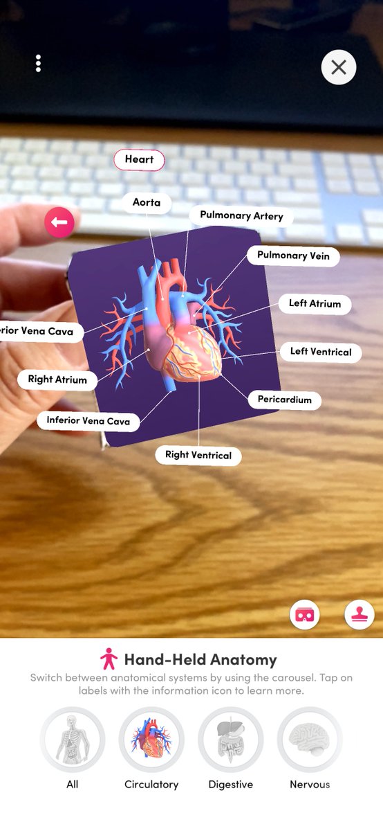 lesliefisher's tweet image. New add to @MergeVR Explorer is a Human Anatomy card which is unlocked to try free till September 15th. Hold a haptic beating heart in your hand via a Merge Cube, place a life size human anatomy model in your space and drag the slider to see the changes from 5 to 25 years of age