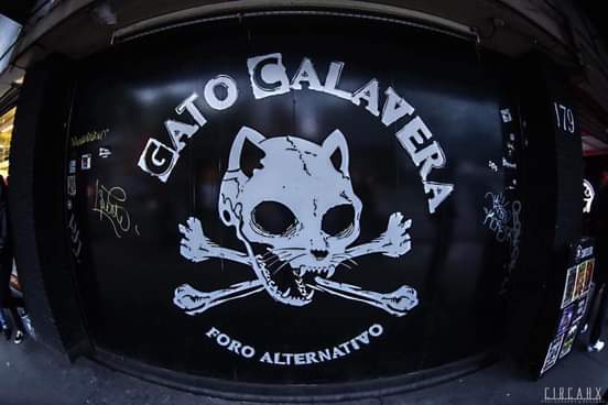 Bandas como Crimen, ACXDC, Calabrese, festivales como La Feria del Taco Vegano y mucho más, los voy a extrañar @GatoCalavera