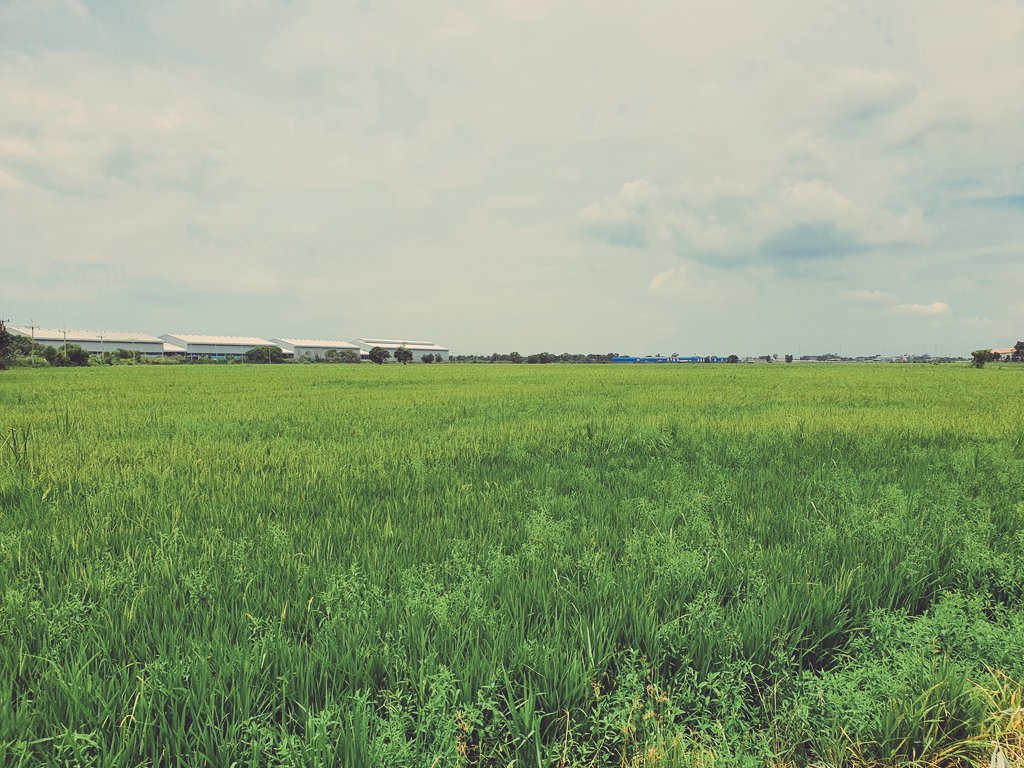 BrightScoth's tweet image. บางครั้งก็เหงาเกินไปนะ. 😓