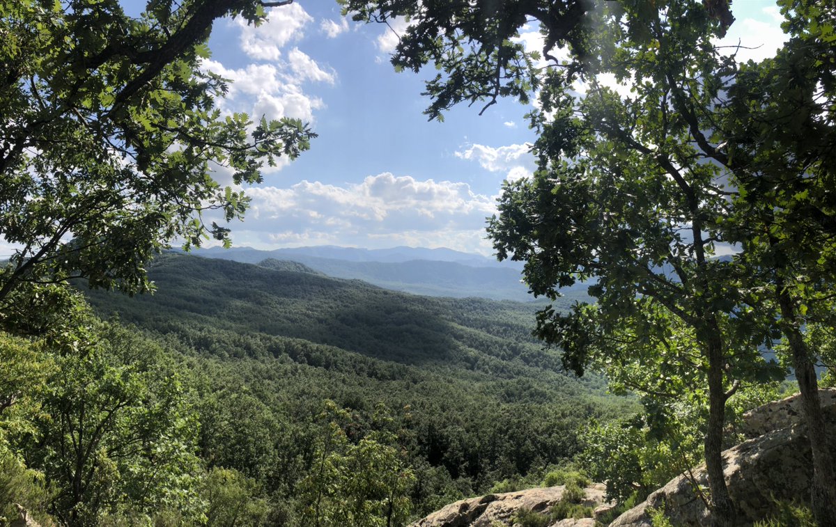 Salvatore Perrini (@salvy1979) on Twitter photo 