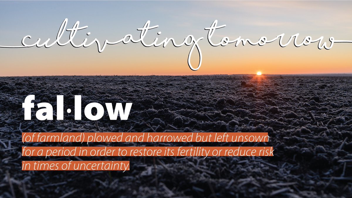 There are times in the life of a farmer when the risks are too great or uncertain, requiring them to leave a field fallow. To protect our assets – both our people and our resources – from incalculable losses, we’ve made the tough decision to take a year to lie fallow.