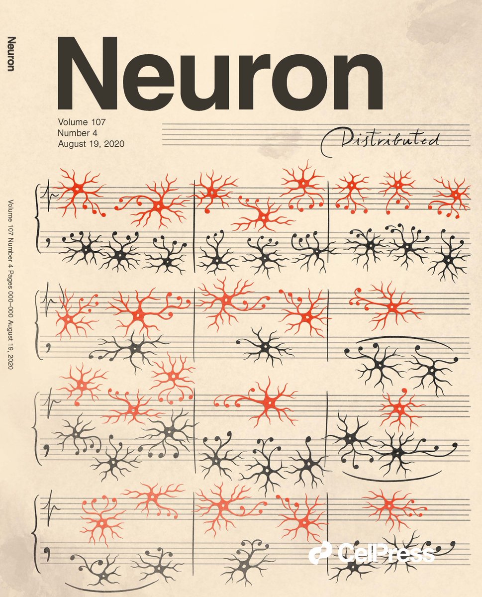 New issue is out! cell.com/neuron/current 

With a neural symphony on the cover, illustrating a study showing that place &amp; non-place cells in the hippocampus can represent a mouse's position, speed &amp; direction of movement using a distributed neural code 
📰bit.ly/2Q6DOEP