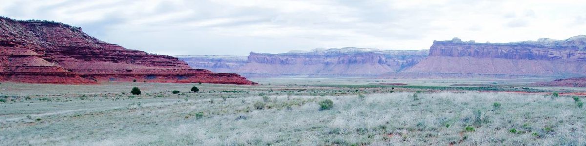 LAHMAS_Hydro's tweet image. ZipperSam: RT Carrie_Havrilla: I'm recruiting a graduate student to join my lab ColoradoStateU in spring 2021! The position will focus on plant and soil ecology and rangeland restoration. Details can be found on my website and below. Please RT and get in…