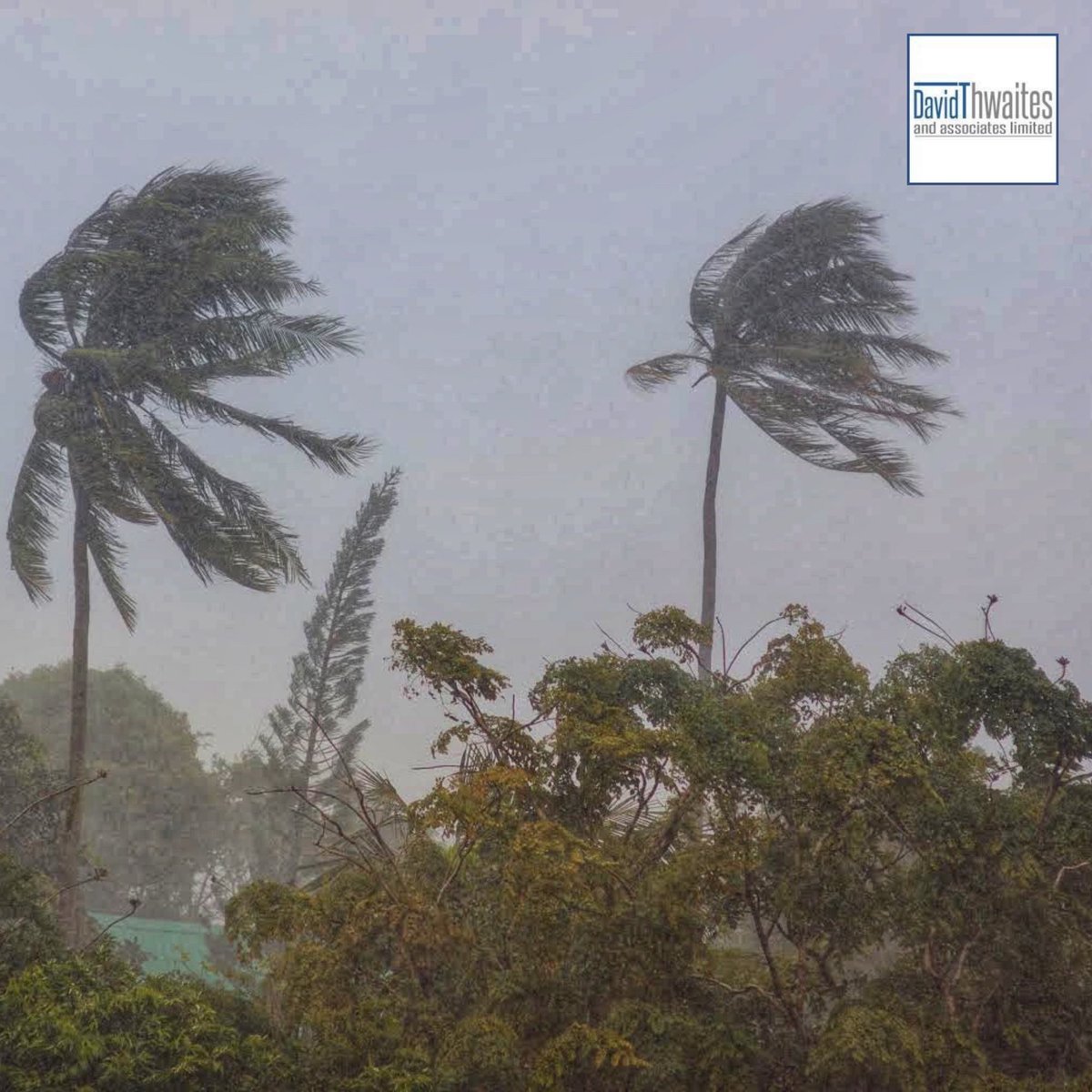 DIThwaites's tweet photo. Hurricane season runs from June 1 - November 30. Be ahead of the game. Make sure the property values for your insurance policies are up to date. Give us a call. We can help. (876)967-2344. davidthwaitesandassociates@gmail.com 

#weknowvalue #RICS https://t.co/0TxolZpGcZ