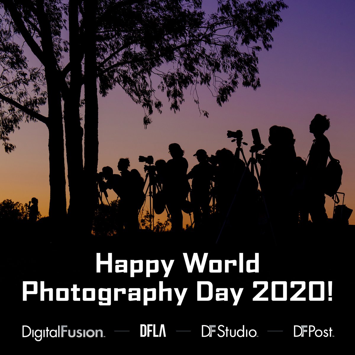 DFStudio's tweet image. Happy World Photography Day from DF Studio &amp;amp; DigitalFusion!
#worldphotographyday #photography #photokill #onlineapproval #photoapproval #filmstills #unitstills #unitphotography
#scanning #remastering #restoration #archiving #photoproduction