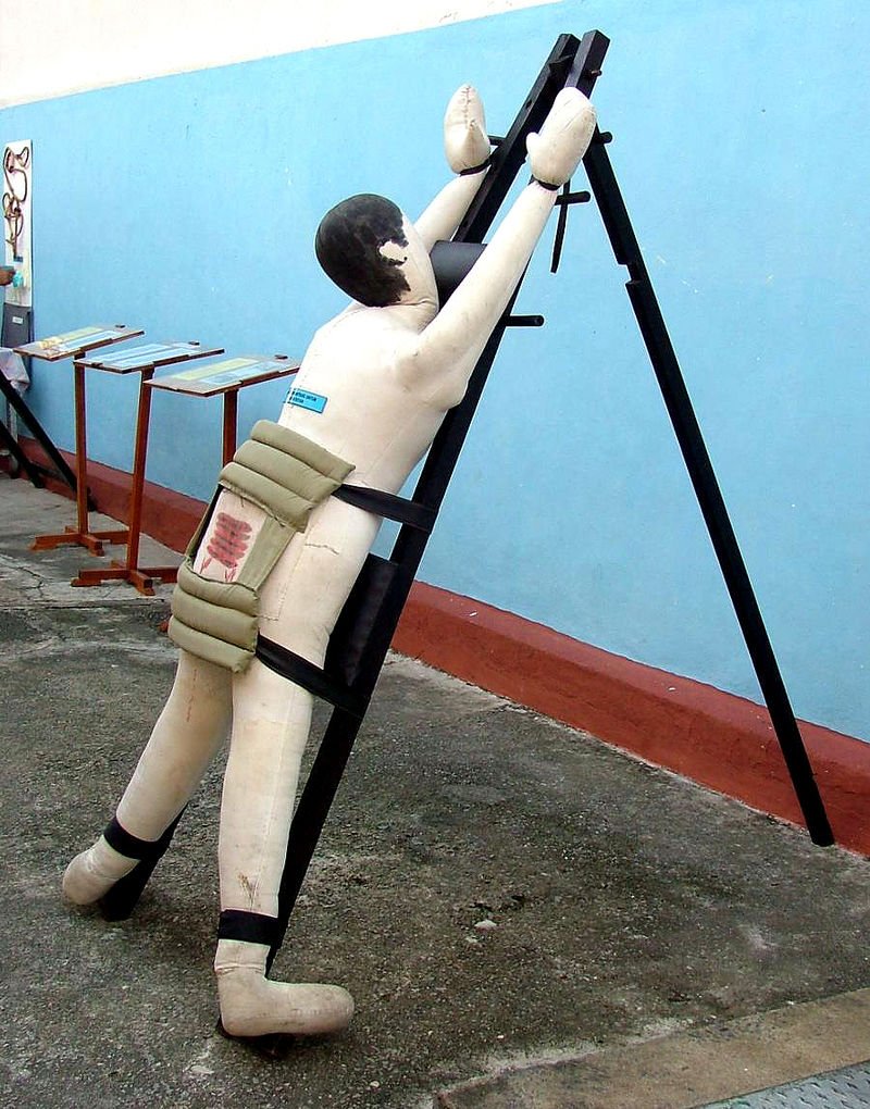 also when you google caning you find a picture of a caning test dummy and wow.