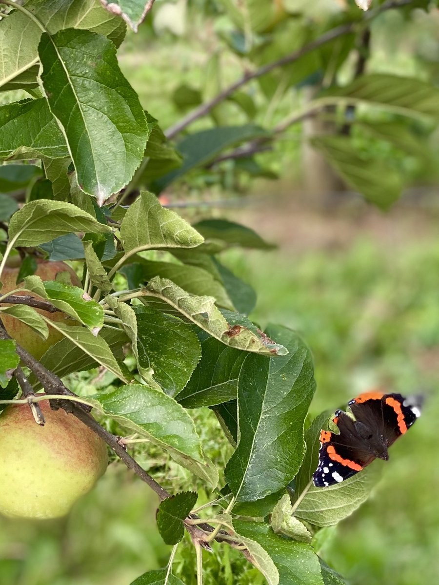 Marja Ruigrok tweet media