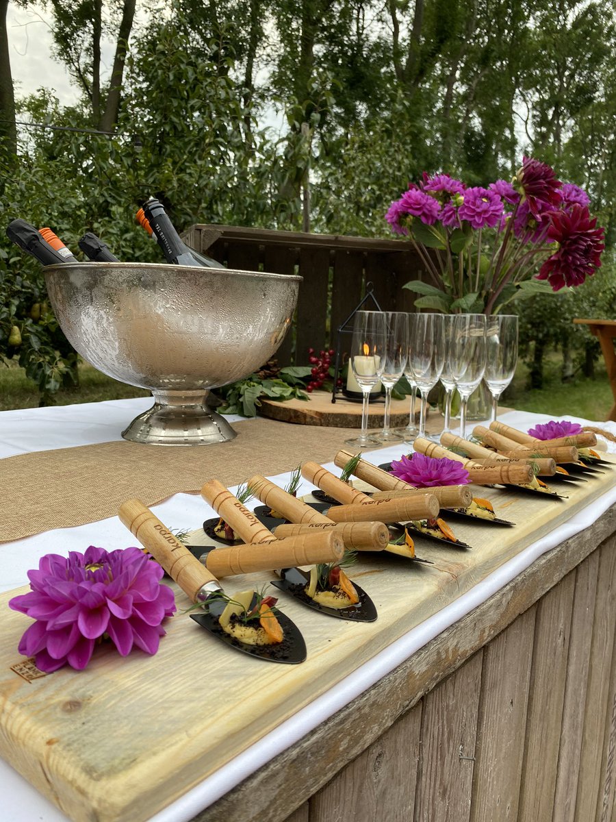 Marja Ruigrok tweet media