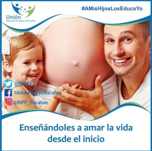 UnpfY's tweet photo. #AMisHijosLosEducoYo
¡AQUÍ VEREMOS QUIEN EN VERDAD RESPALDA Y APRECIA A LA FAMILIA!
@emoctezumab
@julenrementeria
@Nadia_NavarroA
@LupitaMurguiaG
@manuelanorve
@MiguelChicoOfl
@sasildeleon
@jorgearguellesv
@higinio_mtz
@ectorjaime
@Laura_Rojas_
@JosefinaSLP
@DulceSauri
@olgapsosa https://t.co/CanqU3DhuA