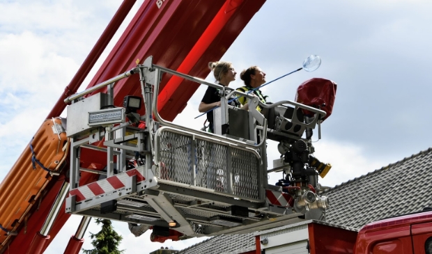 Brandweer rukte tevergeefs uit om papegaai te vangen in Breda - ..