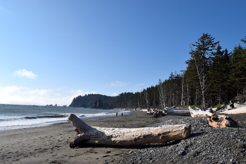 ToAndFroFam's tweet photo. One of my favorite spots in Washington: Rialto Beach https://t.co/DSAv6An9qW #OlympicNationalPark #WashingtonState #OlympicPeninsula https://t.co/6bIk84LkYG