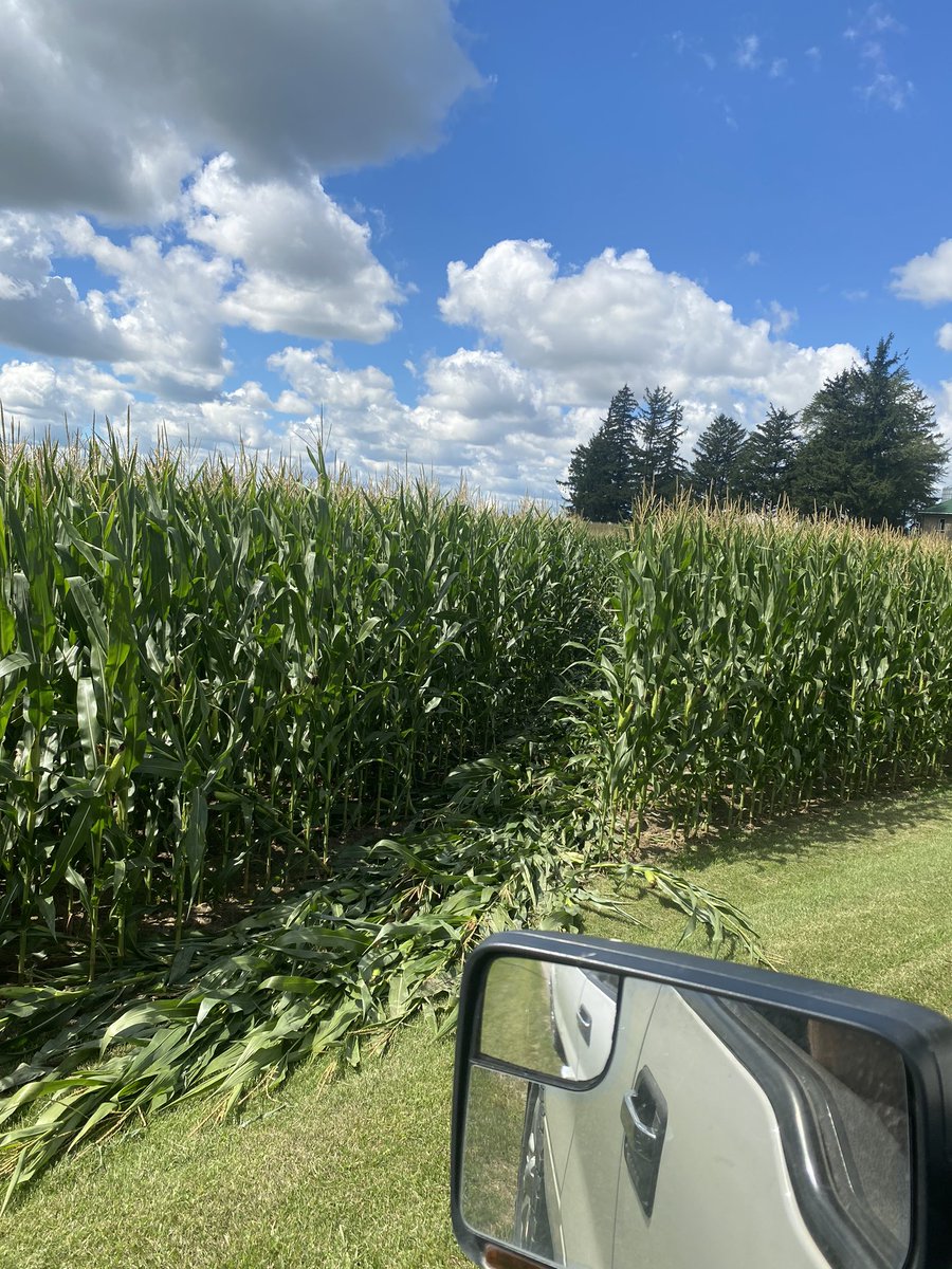 If anyone sees a side by side in the central Perth area with corn hanging off it please report fair bit of damage on line 49 early this morning. <a href="/jmcdon95/">Jake McDonnell</a> <a href="/JM_Grain/">John McDonnell</a>
