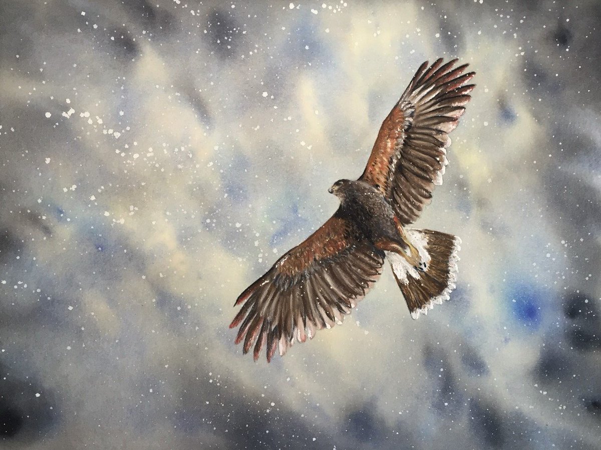 Caroline tweet media