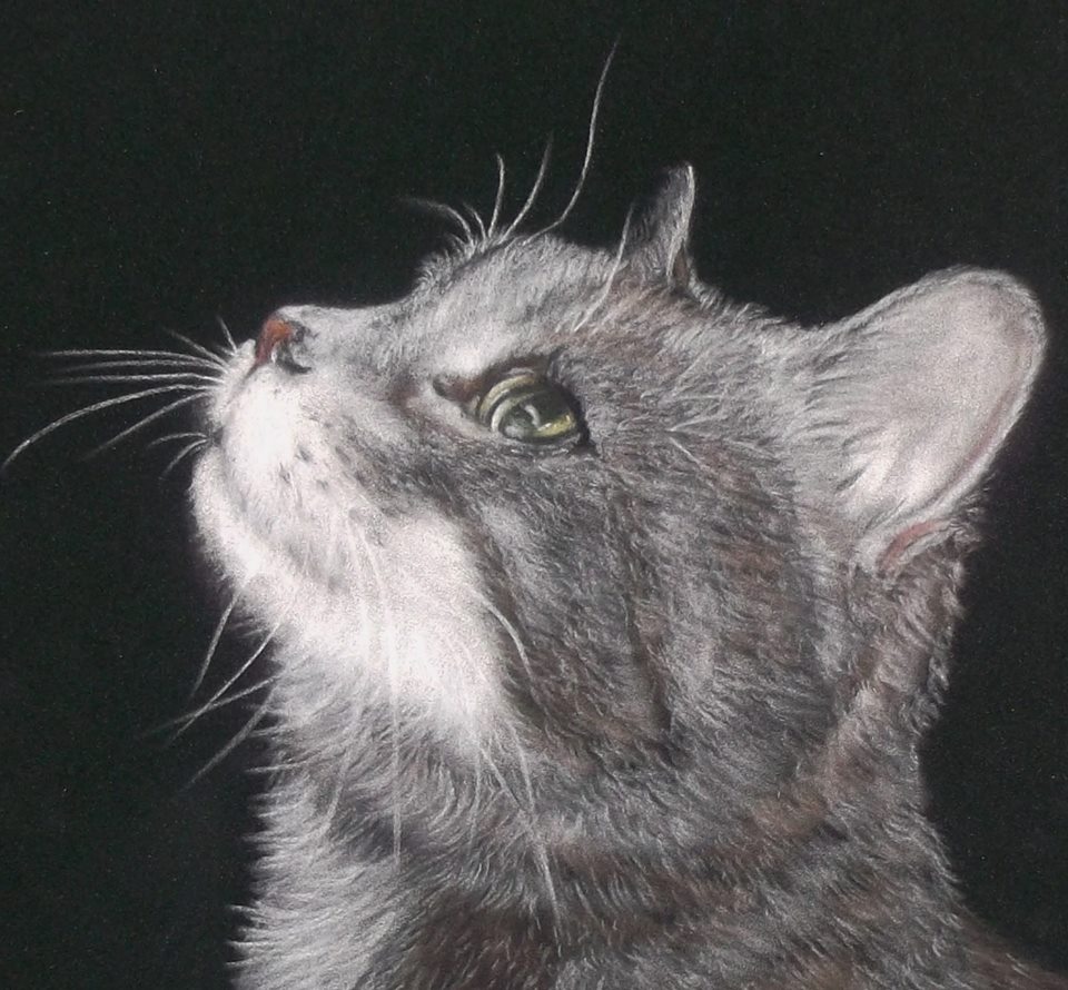 Caroline tweet media