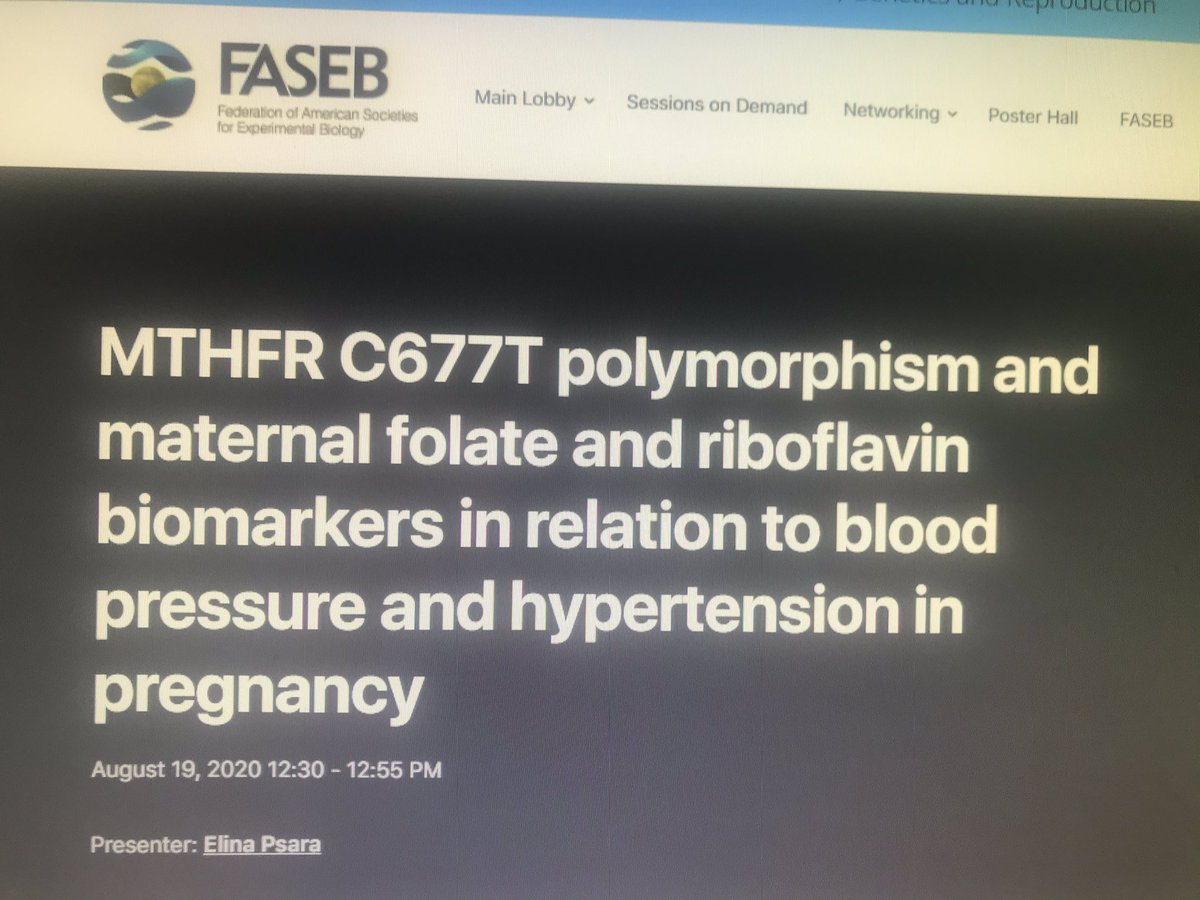 NICHE_ULSTER's tweet photo. First up in the final session is recent @niche PhD graduate Dr @ElinaPsara who will present exciting data on #hypertension in #pregnancy and the role of #B-vitamins and #MTHFR #optipreg study #folicacid20 @FASEBorg https://t.co/Q8s2MSA9fi