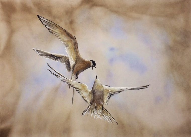 Caroline tweet media