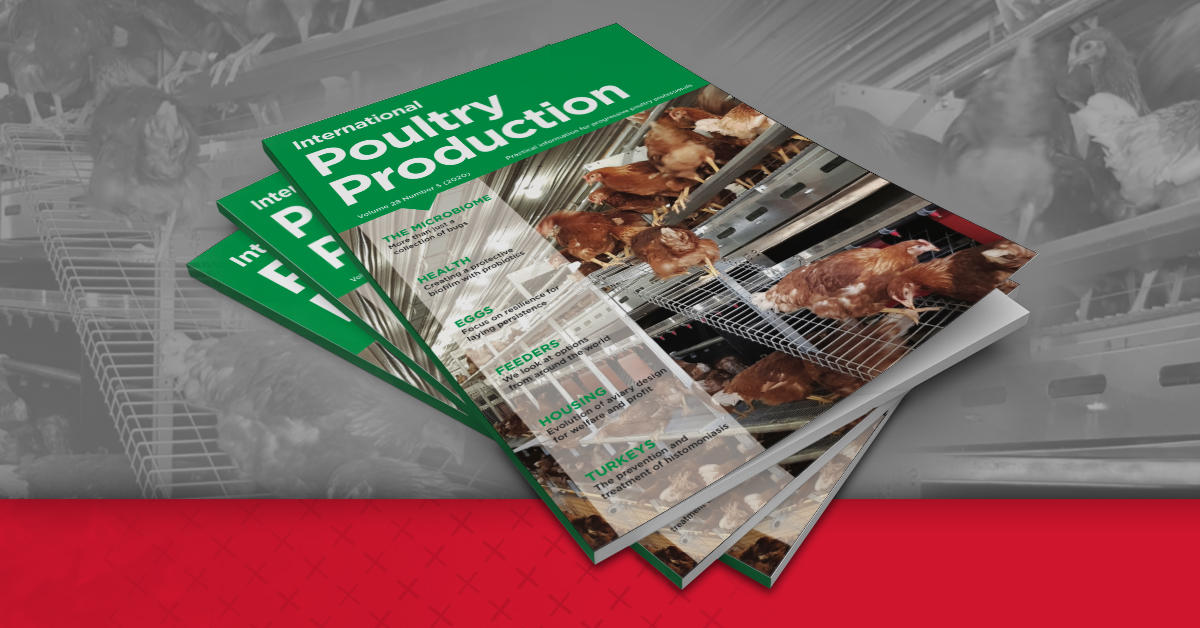 choretime's tweet photo. Learn the benefits of multi-tier aviaries, like the Chore-Time Vike Aviary System, in the latest digital issue of International Poultry Production. #poultry #aviaries https://t.co/VHUBInP6h6 https://t.co/zW65mQCah5