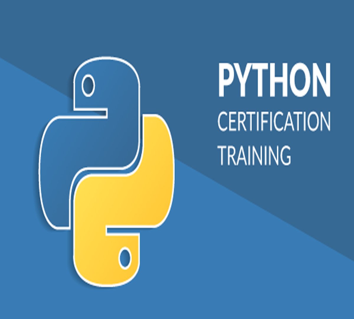 MadhumathiS4's tweet image. Python Certification Training for Data Science
bit.ly/2YioPMu
#PythonCertificationTraining #fundamentalofpython #stepbystepguide #pythonanddatascience #learnandearn #trainingfordatascience #disclosurecommissionearned