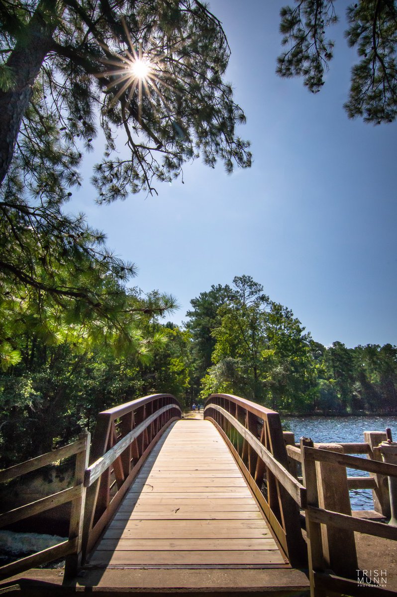 Trish Munn TV tweet media