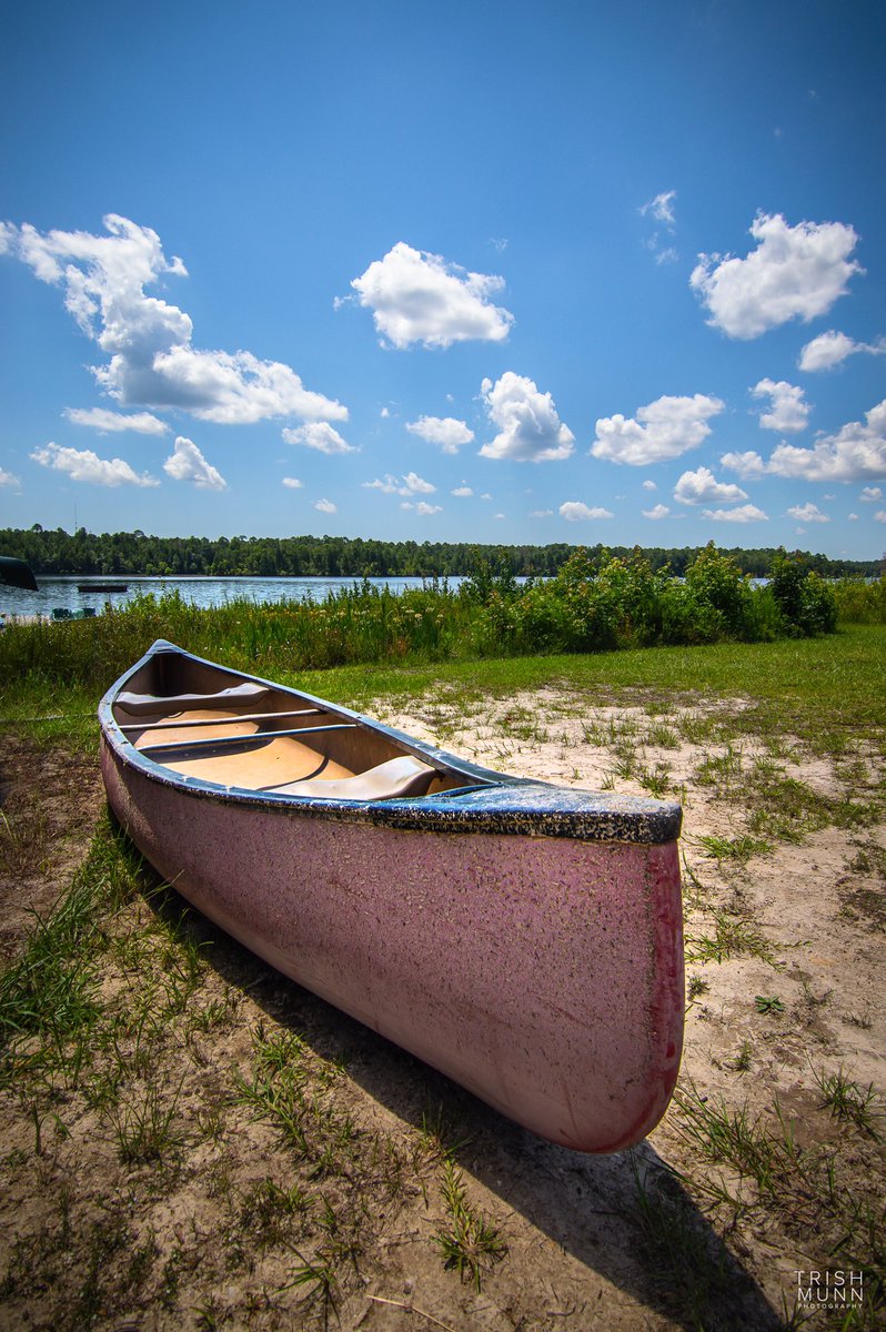 Trish Munn TV tweet media