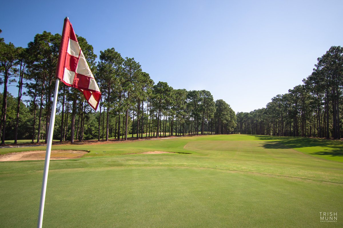 Trish Munn TV tweet media