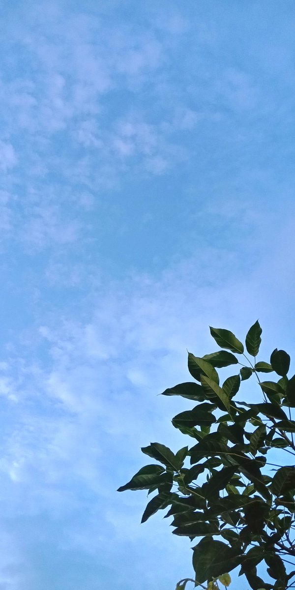 frozen_kitkat's tweet photo. @colorosglobal Shot on my OPPO F5 💜🦋🍃

#WorldPhotographyDay
#WorldPhotography 
#WorldPhotographyDay2020 

#OPPO #OPPOWatch #OPPOFindX2Pro #ColorOS #ColorOSGlobal #sky #aesthetic https://t.co/gNiynMgEec