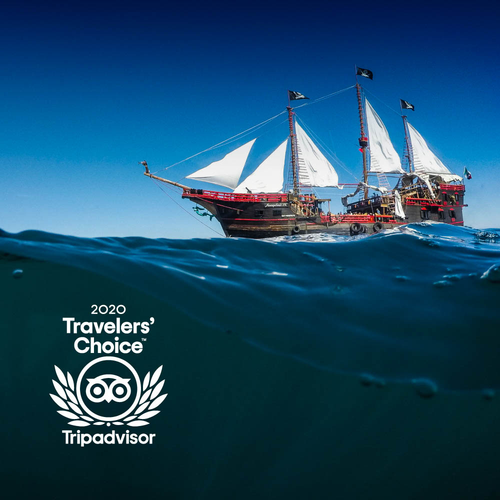 Estamos muy emocionados porque gracias a todos ustedes nuevamente nos otorgaron el Certificado de Excelencia 2020 de TripAdvisor. 🔥🔝 ¡Muchas gracias! 😁🏴‍☠️ Ahoooy

⚓️ barcopiratavallarta.com ⚓️ #PirateShipVallarta