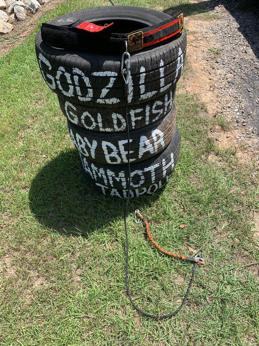 socialshark's tweet photo. This morning’s run with my friends was such a drag 😂🏃🏻♂️🏃🏻♂️🏃🏻♂️ ...tire drag that is. 👊🏼💥 - Thanks #TrailToes https://t.co/E5xpoy3yMU