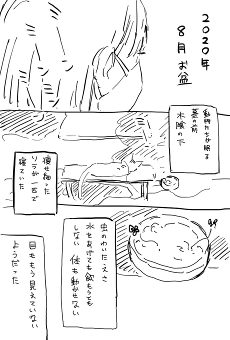 今年の話 2/2 