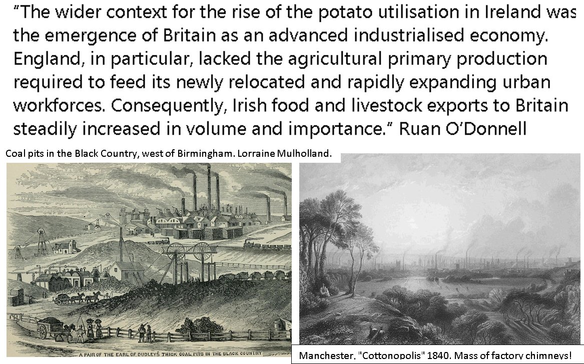 Potato background contd.Since Britain going through Industrial Revolution, it lacked agricultural primary production required to feed its newly relocated/rapidly expanding urban workforces. So Irish food sent to them. Irish had to exist on the potato! Summary of Ruan O'Donnell.