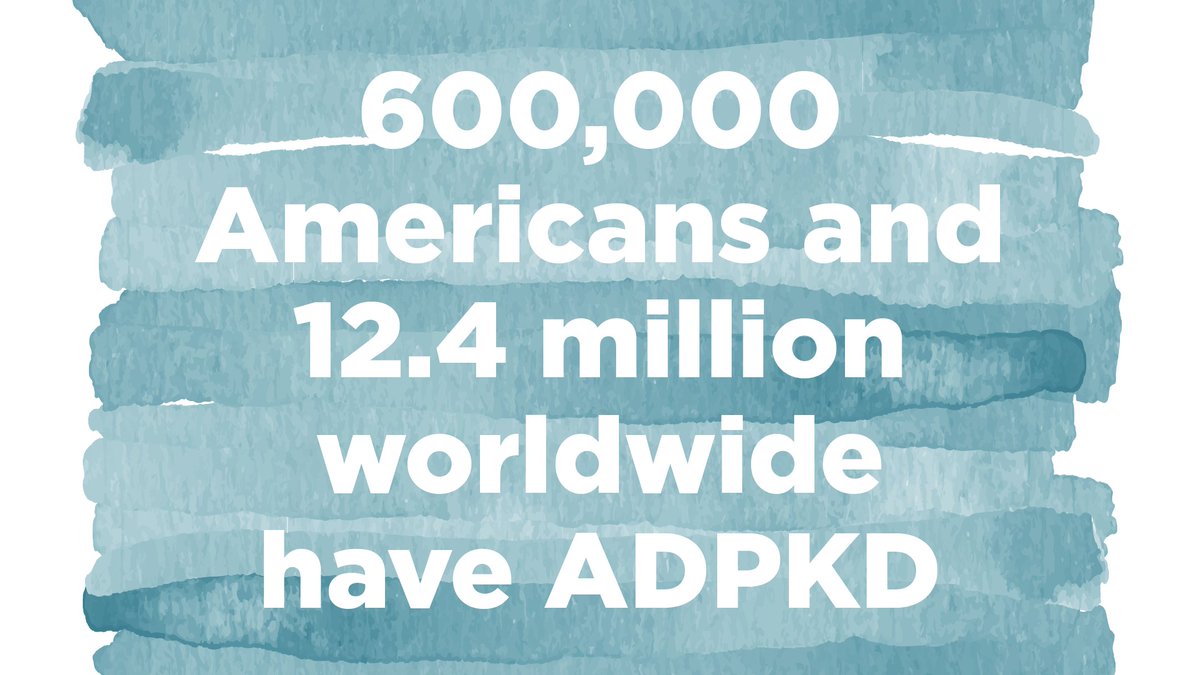 nwkidney's tweet photo. Today, 600,000 Americans and millions worldwide are living with Polycystic kidney disease (PKD). On Sept. 4, raise your voice for #PKDAwarenessDay to help educate and inspire action. @PKDFoundation #KidneyDisease #ckd #PKD #dialysis https://t.co/k9LkxvHFH6