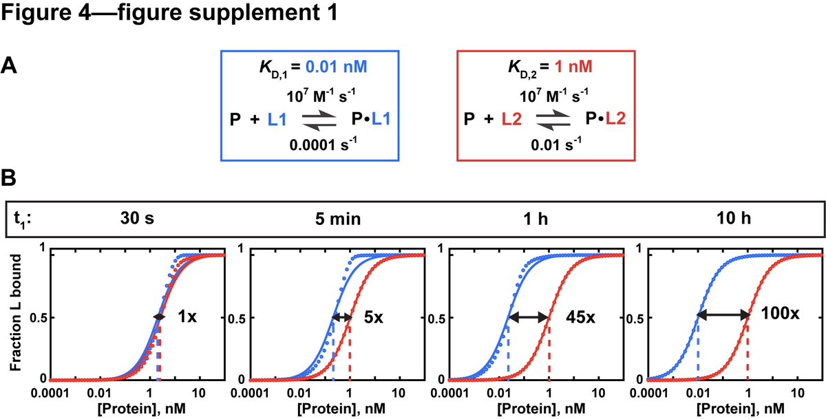 Most papers reported an incubation time of 1hr or less. But if you don't wait long enough, affinities that are off by a 100-fold can appear to be the same. E.g., CRISPR Cas12a complex has such a low koff (dissociation rate) that it needs to equilibrate for >100 hrs!(6/15)