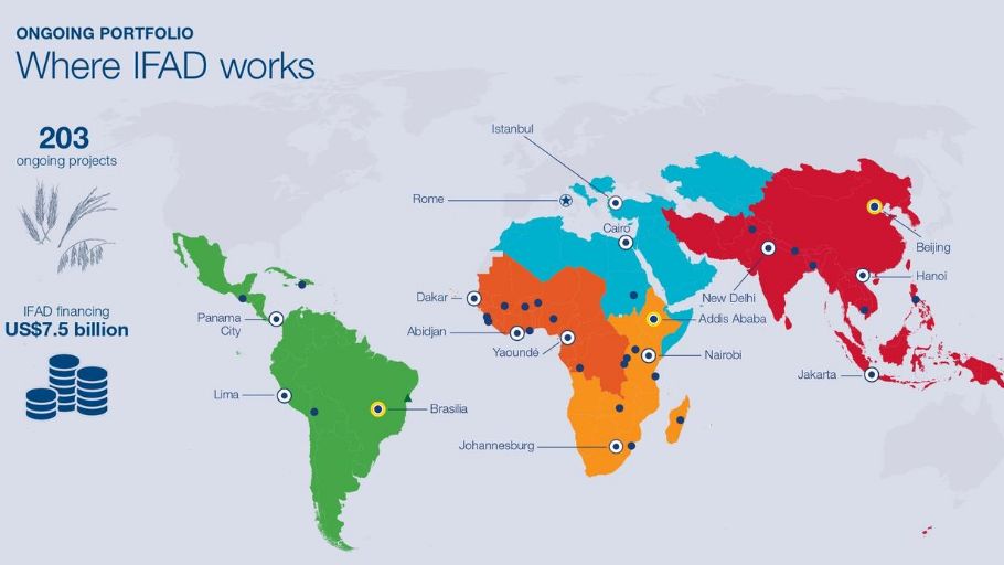IFAD's tweet photo. Do you know where IFAD works?

🌏 5 regions
🗺️ 90 countries
📌 203 ongoing projects

Learn more about how we #InvestInRuralPeople around the world ➡️ https://t.co/ZbnYbnUG58 https://t.co/2oTw8DxGQr