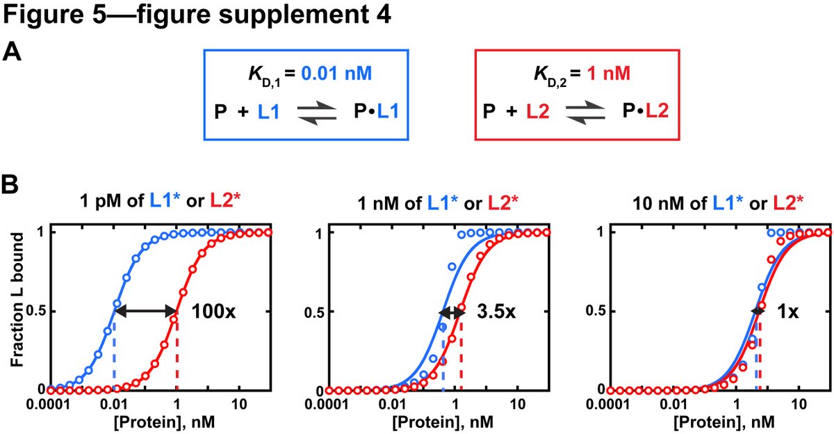 Second, it's important to ensure that you're not in a titration regime where ligand [R] >> Kd. At high [R], [P] gets depleted from solution such that [P]free ~ [P]total is no longer true. Kds cannot be measured when [R] is in vast excess over Kd (tho workarounds exist) (8/15)