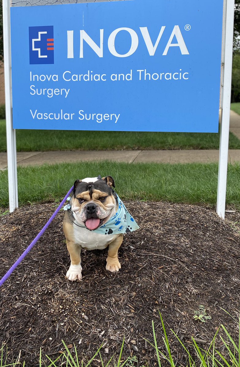 JennN_JHUDNP's tweet photo. “Dogtor” Holts wanted to give my @InovaHealth #HCW coworkers some #pettherapy! Unclear who was actually getting the #therapeutictouch 🤣 #therapeuticBreak #HCWlove ❤️✊🏼 #supportHCWs #Healing https://t.co/6qcFCnsYVK