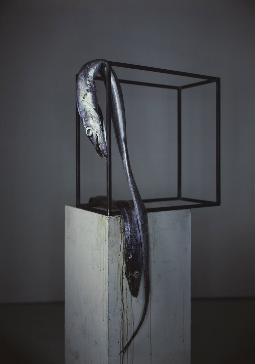 PaceGallery's tweet photo. Happy birthday to #RichardLearoyd, whose large-scale portrait, landscape, and still-life photographs are celebrated for their balance of hyper-real and expressive qualities. Learn more about Learoyd's practice on our website. https://t.co/NF0gIWwhY0 https://t.co/QTn4IieH1Y