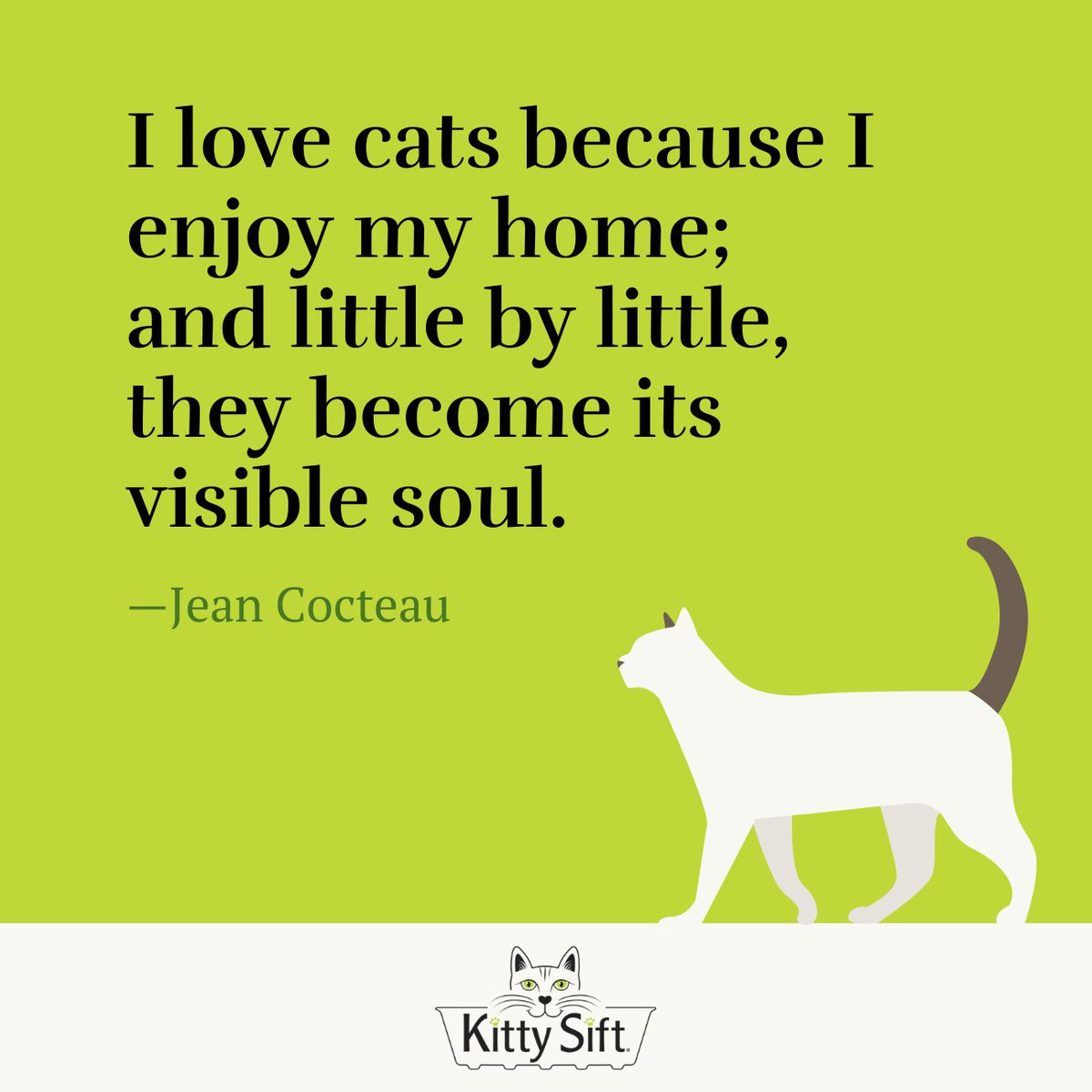 Cat: The visible soul of your home.🏠

#wisdomwednesday #wednesdaywisdom #cat #catsofinstagram #catstagram #catloversclub #kittensofinstagram #meow #catlady #catlife