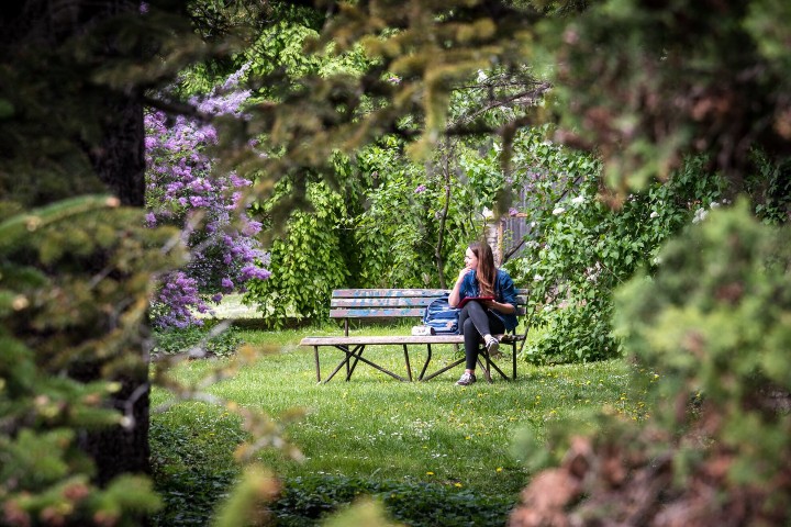VineyardKapolna's tweet photo. #BestInBudapest
9 great gardens and parks for a peaceful afternoon around #Budapest — something for everyone ⛲
➡️ #Hungary #parksBUD #parks #gardensHUN #gardens #sightseeingBUD #visitBUD #travelBUD #tourismBUD #beautifulBUD #WhatToDoBUD #WhereToGoBUD
https://t.co/jW6N62YW4y https://t.co/S7HVL91X9x