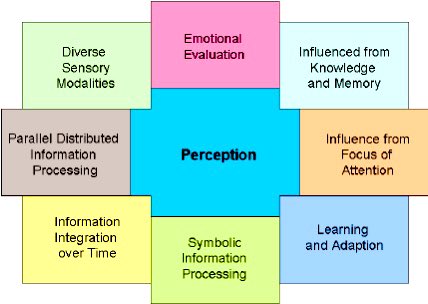 ...mentioned them. So the sensory neurons did not stop reporting on how your socks fit around your ankle.But our brains cannot possibly focus on every sensation reported to the brain.So it is wired to pay most attention to changes. The  #COVID19 crisis began months ago!