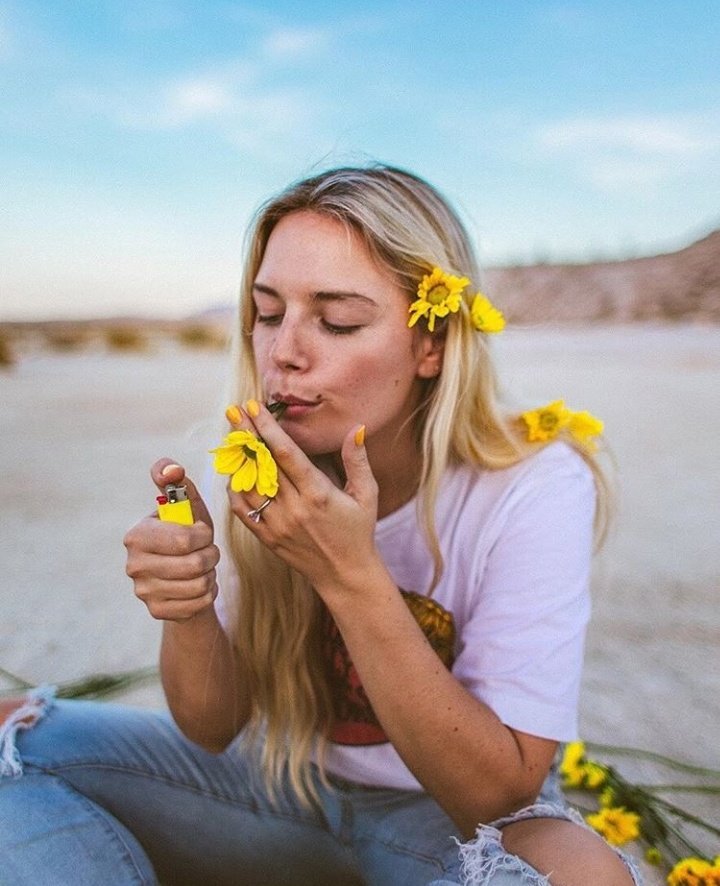 9. Sunflower, Vol. 6"sunflower my eyes want you more than a melody"